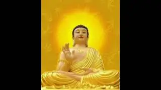 MƯỜI HAI LỜI NGUYỆN ĐẢNH LỄ ĐỨC PHẬT A DI ĐÀ 