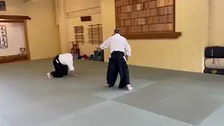 Bruce Bookman Kaicho and Yahe Solomon Sensei practice tsuki defenses
