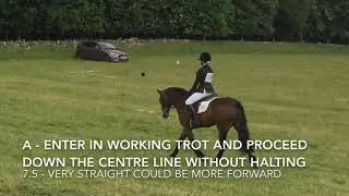 Pony Club Grassroots Dressage Test 2018