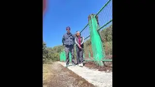 Short trekking to Barsey Rhododendron Wildlife Sanctuary, West Sikkim