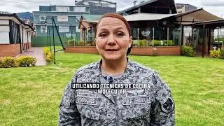Elevator Pitch: Comida Molecular