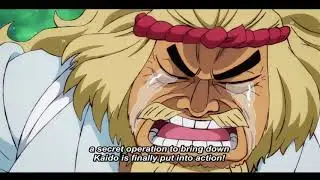 One Piece Episode 911 Preview English Sub