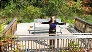 Fabulous Fun Fridays - Week 223: A Bird's Eye View of Scanlon Creek.