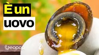 We tried the century egg: why does it smell like ammonia and have these colors?