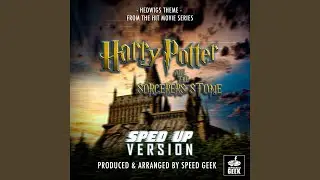 Hedwigs Theme (From 