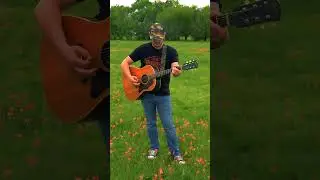 &ldquo;Watch Out for Deer&rdquo; - Aaron Gibson