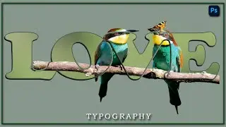 BIRD LOVE | Beautiful Nature with Text Art | Photo Manipulation Design