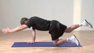 Quadruped Arm Opposite Leg Raise