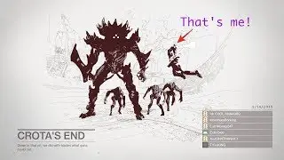 VIGILANCE WING EXOTIC REVIEW