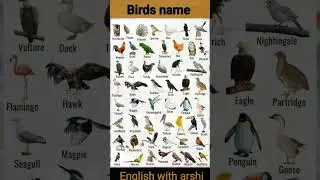 A to Z Birds names// Birds Name English Vocabulary//  100 birds name in images with English name