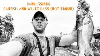 Bank Fishing for Catfish and White Bass (not TROUT!!)