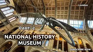 A Peaceful Walk Through the Natural History Museum | London Travel Vlog Part 2