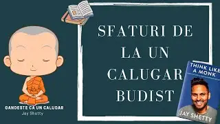 Cum te gestionezi fata de negativism, din perspectiva unui calugar budist