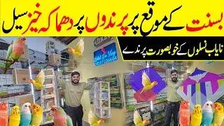 Bachon wale jore a gay Bohat Kam Rate pr #lahorientertainmentchannel #birds #birdsmarket #parrot