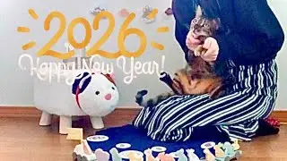 【新年】明けちゃったよ!おめでとうございます🐴