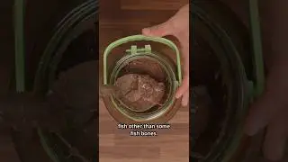 3 MONTHS FERMENTING RAW MACKEREL