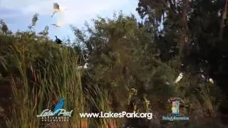 Lakes Regional Park