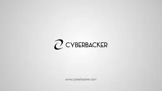 CYBERBACKER REVIEW CONTEST