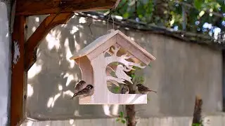 DIY Wooden Bird Feeder 🐦 | Easy & Relaxing Woodworking Project for Your Garden