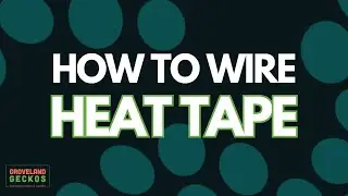How to Wire Heat Tape for your Reptiles - Groveland Gecko