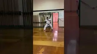 Kobudo Sai Training. #kobudo #sai #martialarts #fyp #shorts