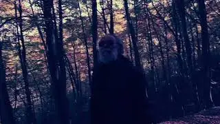 Malabruzzi ft Coglitore, Gazich, Famulari - The Falling Leaves
