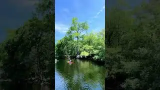 🇺🇸ALACHUA COUNTY | POE SPRINGS | FLORIDA #florida #trending #shorts #travel #globaltravel