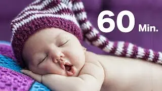 Nap Timer ∥ 60 Minutes Countdown