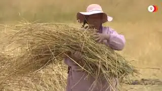 Andes farmers pray for rain amid drought