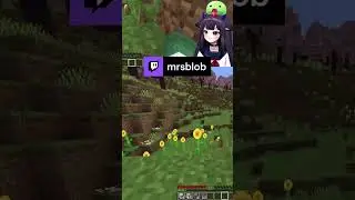 When chat denies the view | #twitch #twitchpartner #vtuber #minecraft #chaostricks  #twitchclips