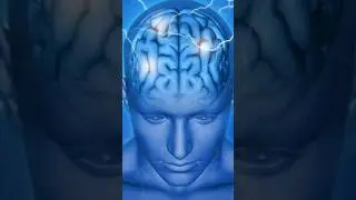 top5 amazing facts in hindi😱#facts #sciencefacts #facteducation #short  #amazingfacts