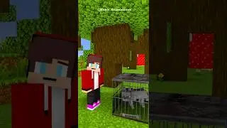 JJ Caught One Wolf&hellip; But Three More Appeared!
