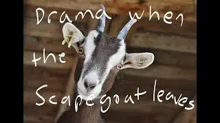 Drama When the Scapegoat Leaves