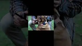 No Subscription Fees? This Pet GPS Is a Game Changer!