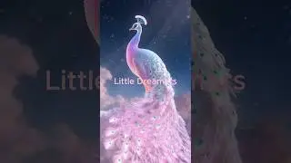 Aurora Peacock &mdash; Shifting Cosmic Colors You Won&rsquo;t Believe! #littledreamers #shorts #youtubeshorts