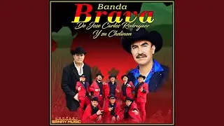 El Señor de las Tacomas
