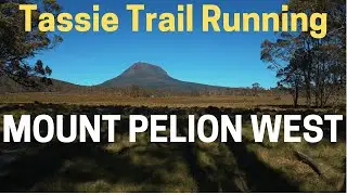 Mount Pelion West in a Day from Arm River Trailhead