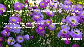 Word of Wisdom, Book of Job with Meaning I SIBI