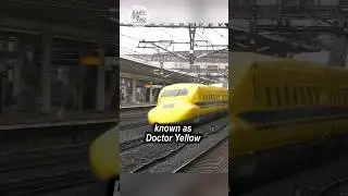 Истинное предназначение японского желтого поезда Синкансэн