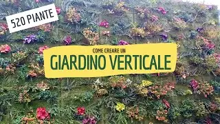 Come abbiamo creato un giardino verticale (e come puoi farlo anche tu)