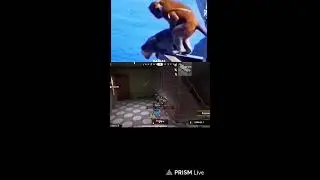 Scarfall 2.0 shorts live