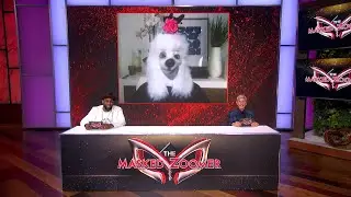 Can You Guess 'The Masked Zoomer'?