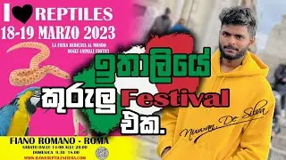 Bird festival in Italy 2023 - ඉතාලියේ කුරැලු ප්‍රදර්ශනය 2023
