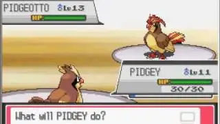 Pokemon Heart Gold - Violet City Gym Leader Falkner