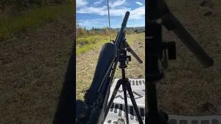 Why you need a suppressed .22LR