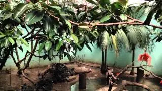 Animal Behavior Aquatic Bird House