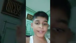 pet