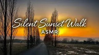 Silent Sunset Walk ASMR | Relaxing Nature Walk | No Talking