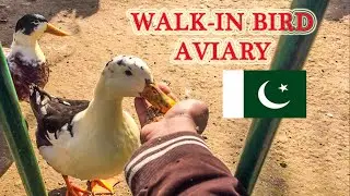 Walk in Bird Aviary at Lake View Park Islamabad | Watch Birds Free As You Walk