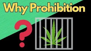 Why was pot made illegal in the first place?